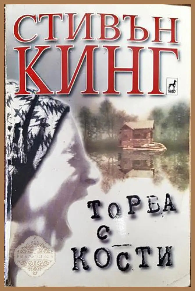 Торба с кости - Стивън Кинг - Книга