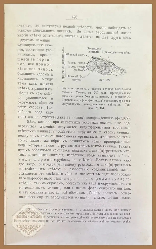 Учебникъ гистологии. 3-е издание - А. С. Догеля - Книги
