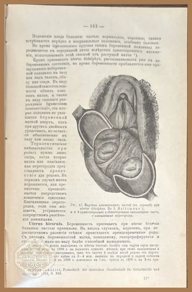 Учебникаъ акушерсва (487) - Книга