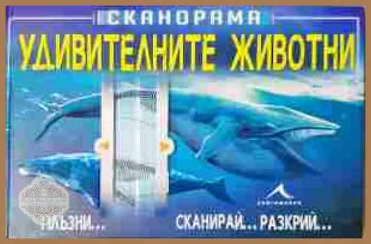 Удивителните животни - Невяна Кънчева - Книга