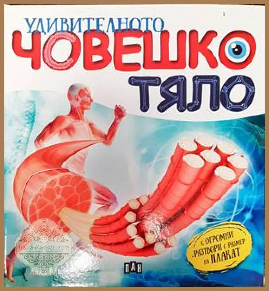 Удивителното човешко тяло - Колектив - Книги