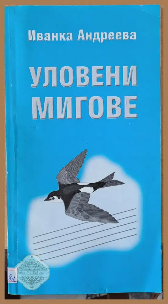Уловени мигове - Иванка Андреева - Книги