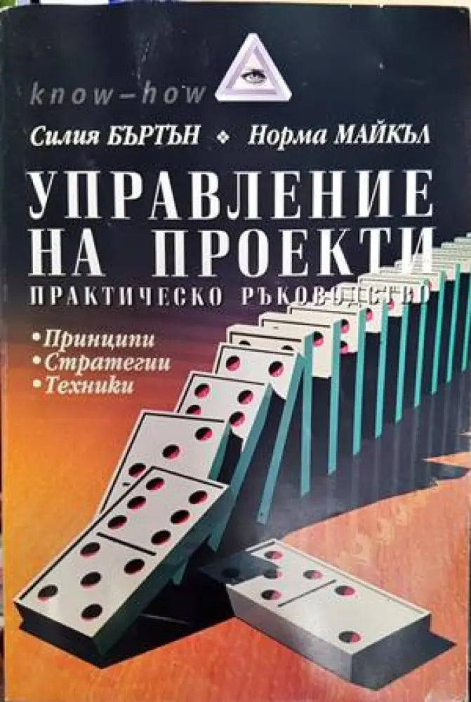 Управление на проекти (1345) - Книга