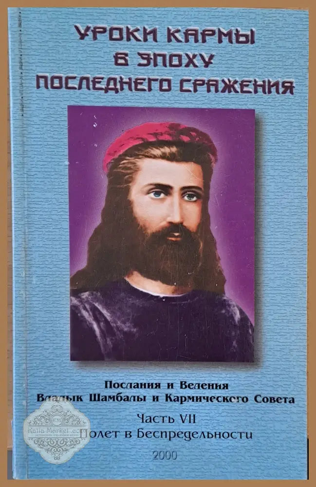 Уроки кармы в эпоху последного сражения - Домашева - Васильва - Книги
