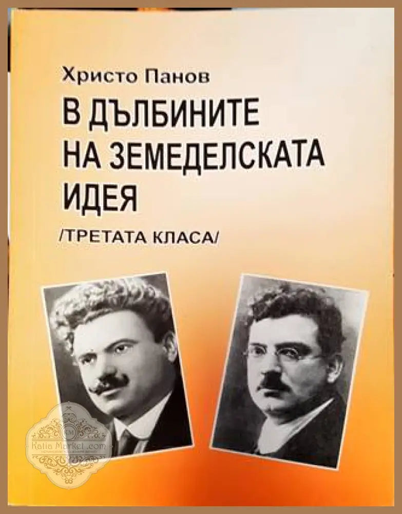 В дълбините на земеделската идея. Съществува ли третата класа? - Христо Панов - Книга