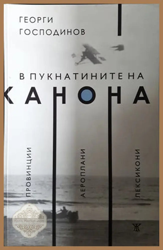 В пукнатините на канона - Георги Господинов