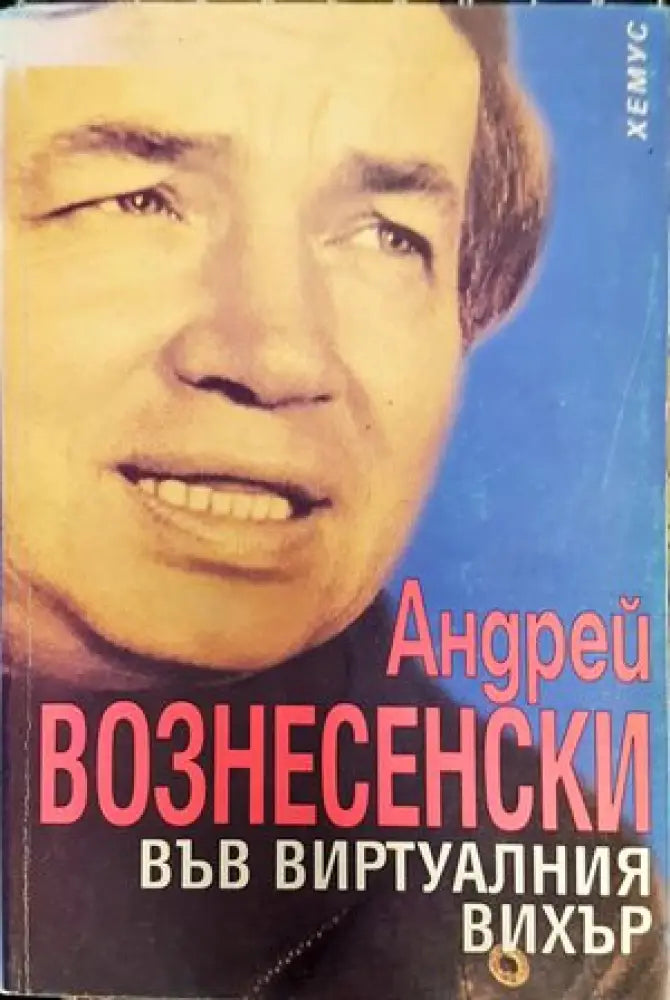 Във виртуалния вихър (1253) - Книга