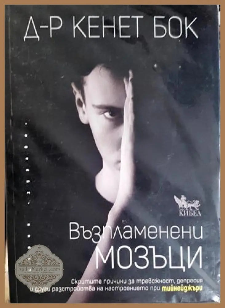 Възпламенени мозъци - Кенет Бок - Книга