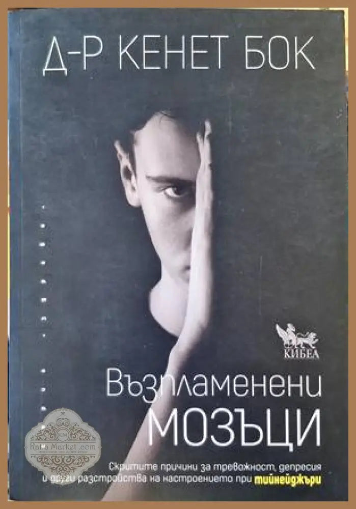 Възпламенени мозъци - Кенет Бок - Книги