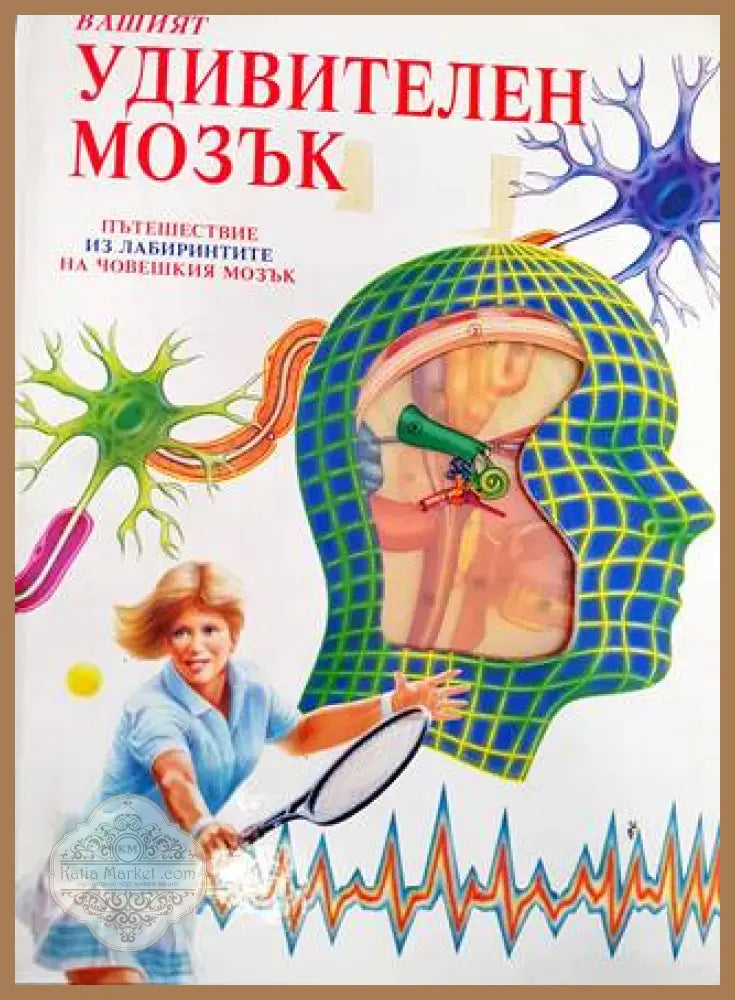 Вашият удивителен мозък - Джени Браян - Книга