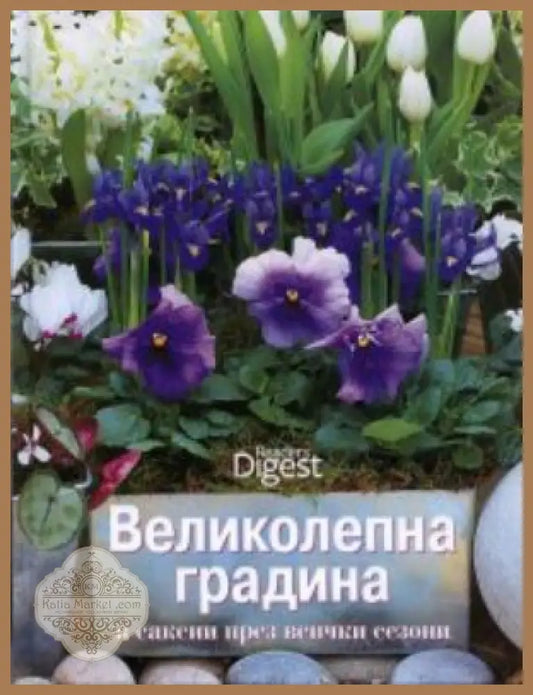 Великолепна градина в саксии през всички сезони - Сборник - Книга