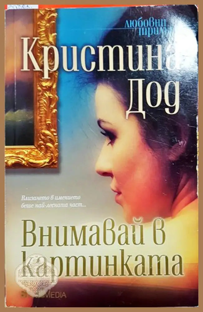 Внимавай в картинката - Кристина Дод - Книга