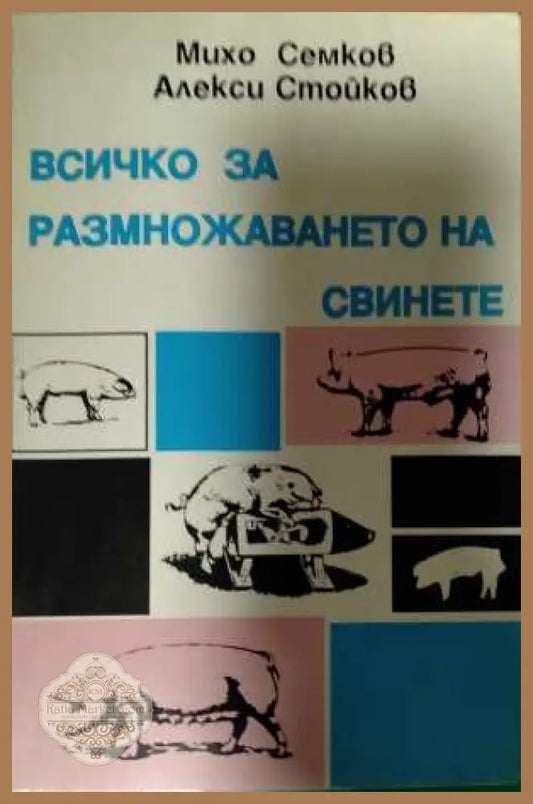 Всичко за размножаването на свинете