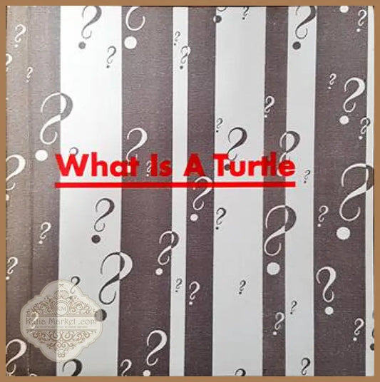 What is a turtle - Книги