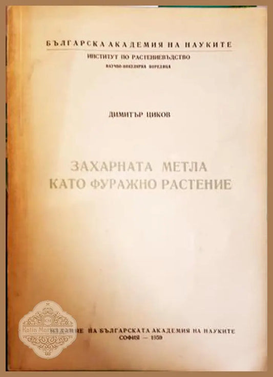 Захарната метла като фуражно растение - корица