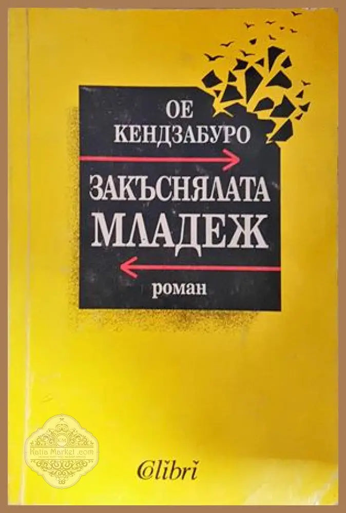 Закъснялата младеж - Ое Кендзабуро - Книга