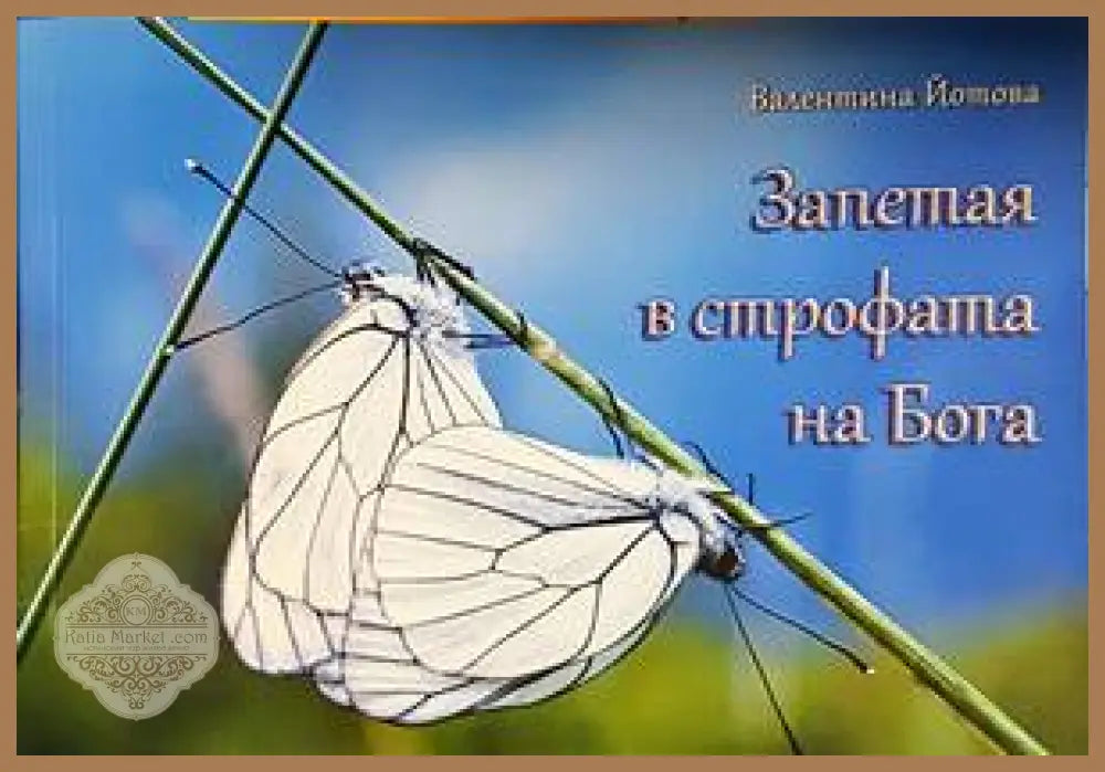 Запетая в строфата на Бога - Валентина Йотова - Книги