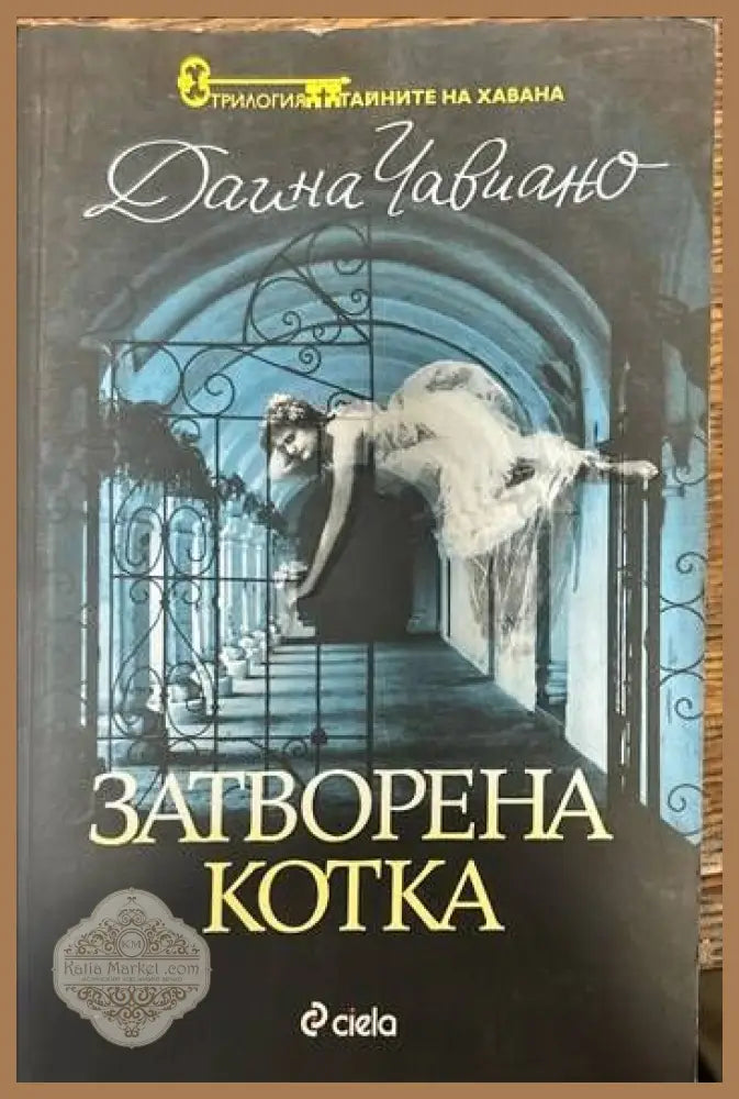 Затворена котка - Даина Чавиано - Книги