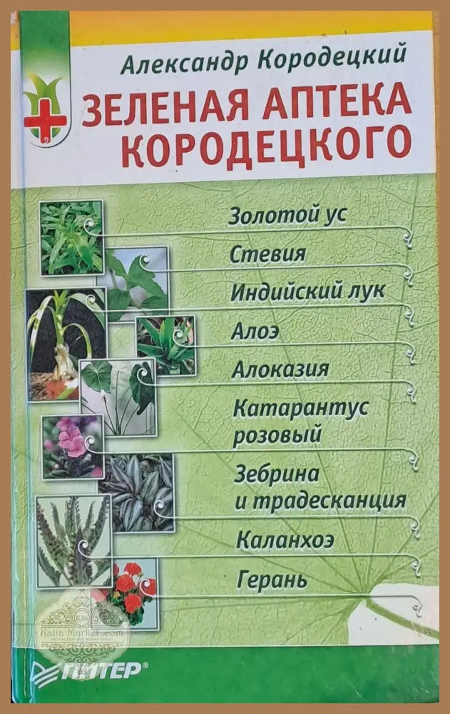 Зеленая аптека Кородецкого - Ал. Кородецкий - Книги