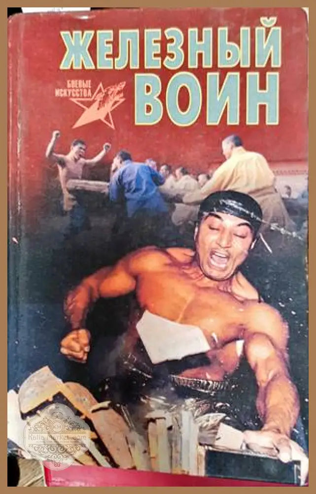 Железный воин - Ань Цзайфэн - Книги