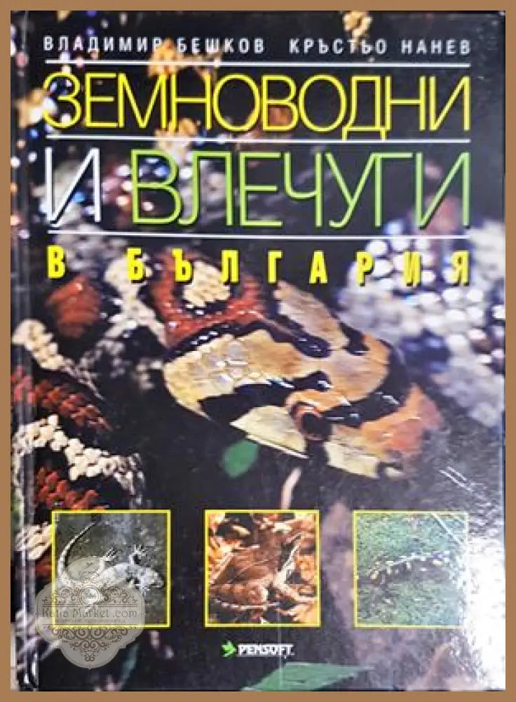 Земноводни и влечуги в България - корица