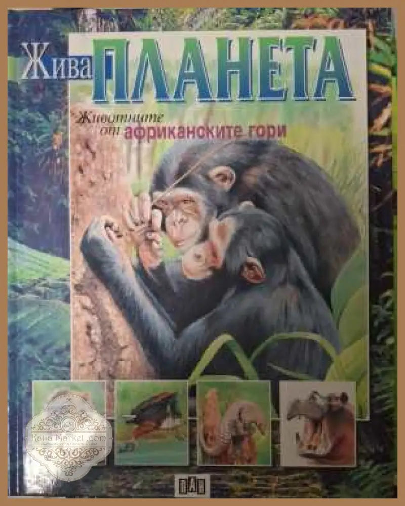 Жива планета: Животните от африканските гори