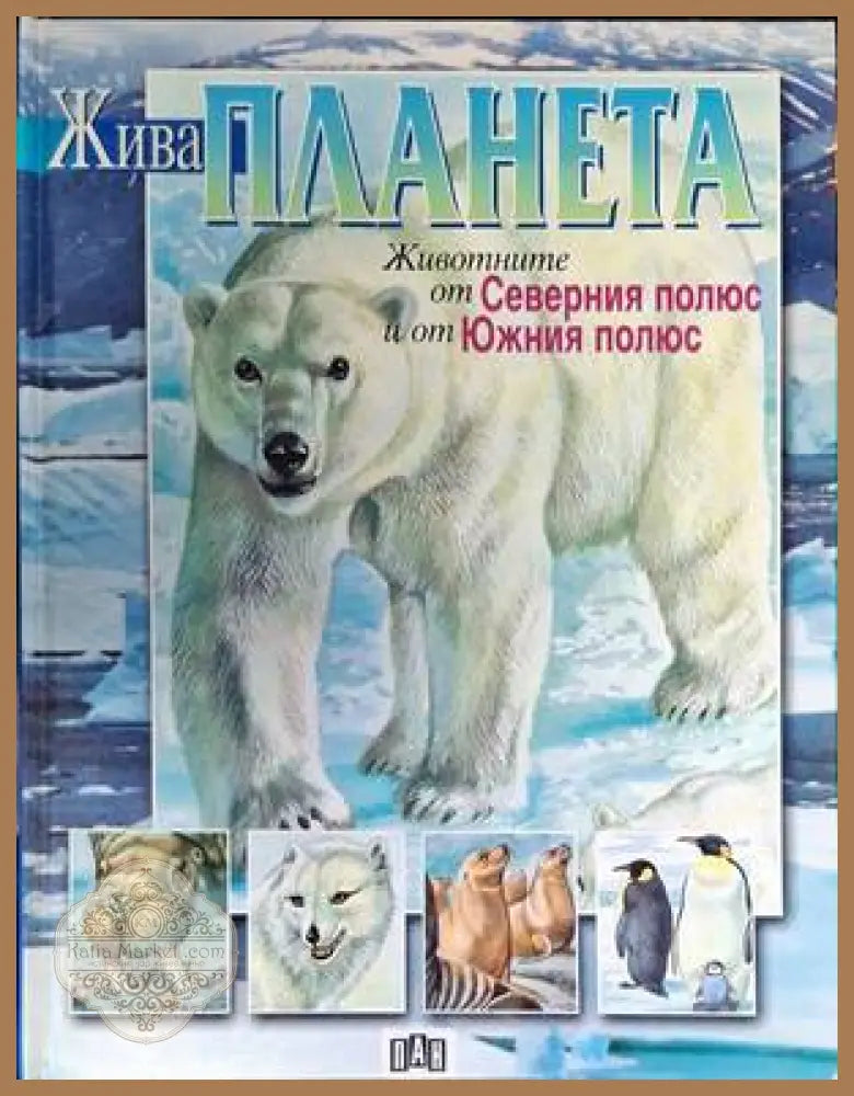 Жива планета: Животните от Северния полюс и Южния полюс - Колектив - Книги