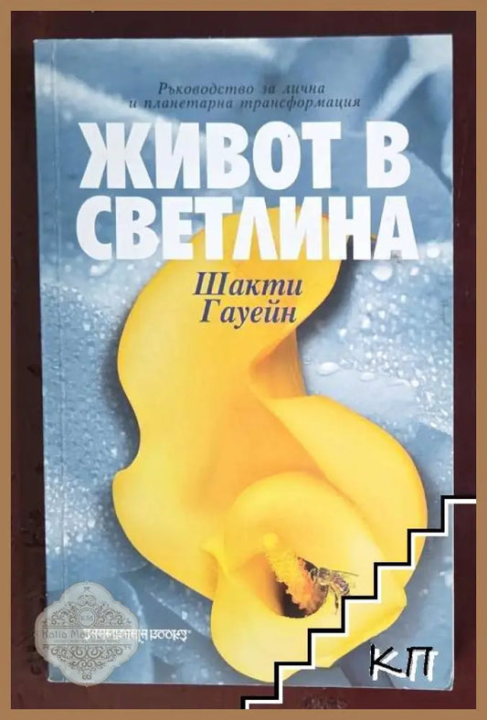 Корица на книгата Живот в светлина от Шакти Гауейн