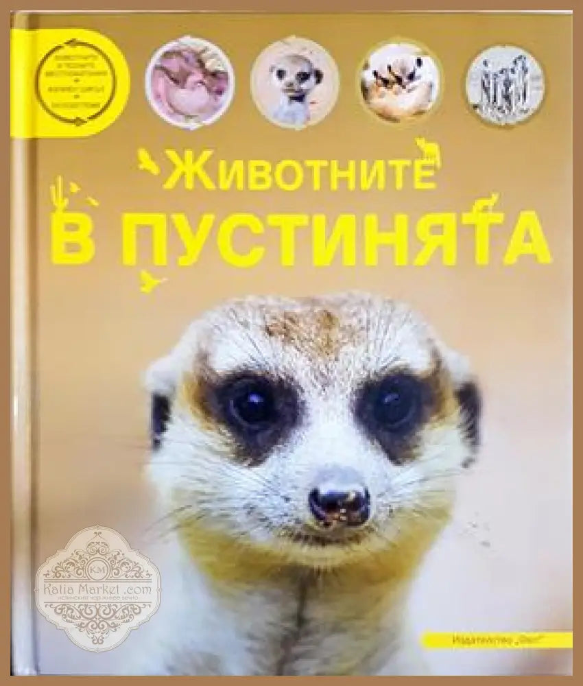 Животните в пустинята - Колектив - Книга