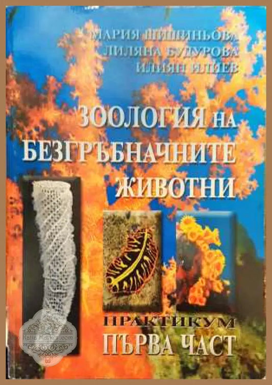 Зоология на безгръбначните животни - Васил Големански Мария Шишиньова - Книга