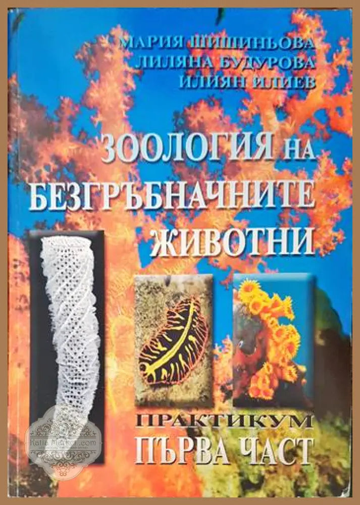 Зоология на гръбначните животни. Първа част - Мария Шишиньова Лиляна Банчева Илиян Илиев - Книги